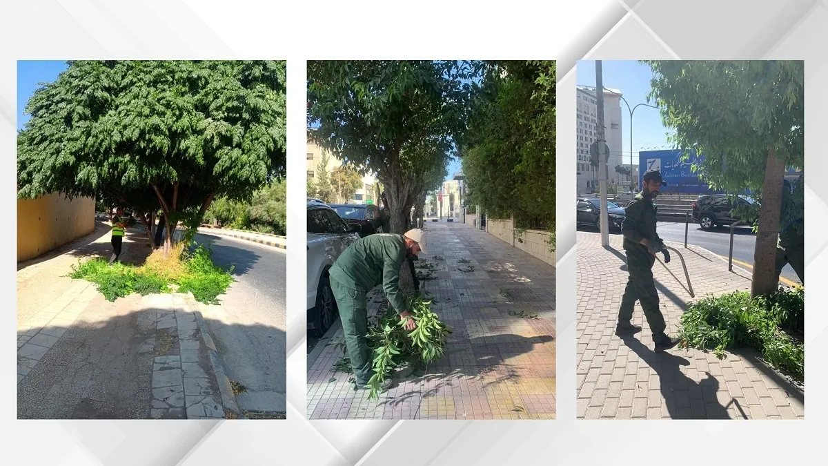 أمانة عمّان تؤهل الأرصفة وتعالج العوائق لتوفير مسارات آمنة للمشاة