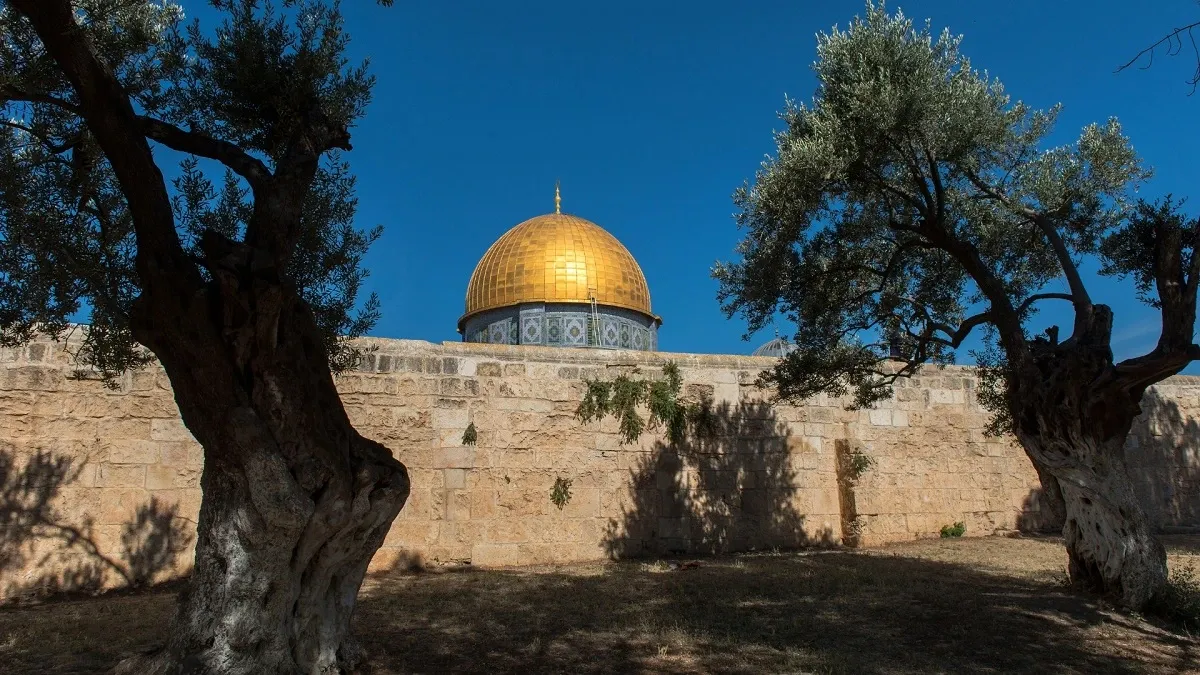 عين على القدس يناقش خطاب الملك في الجمعية العامة للأمم المتحدة